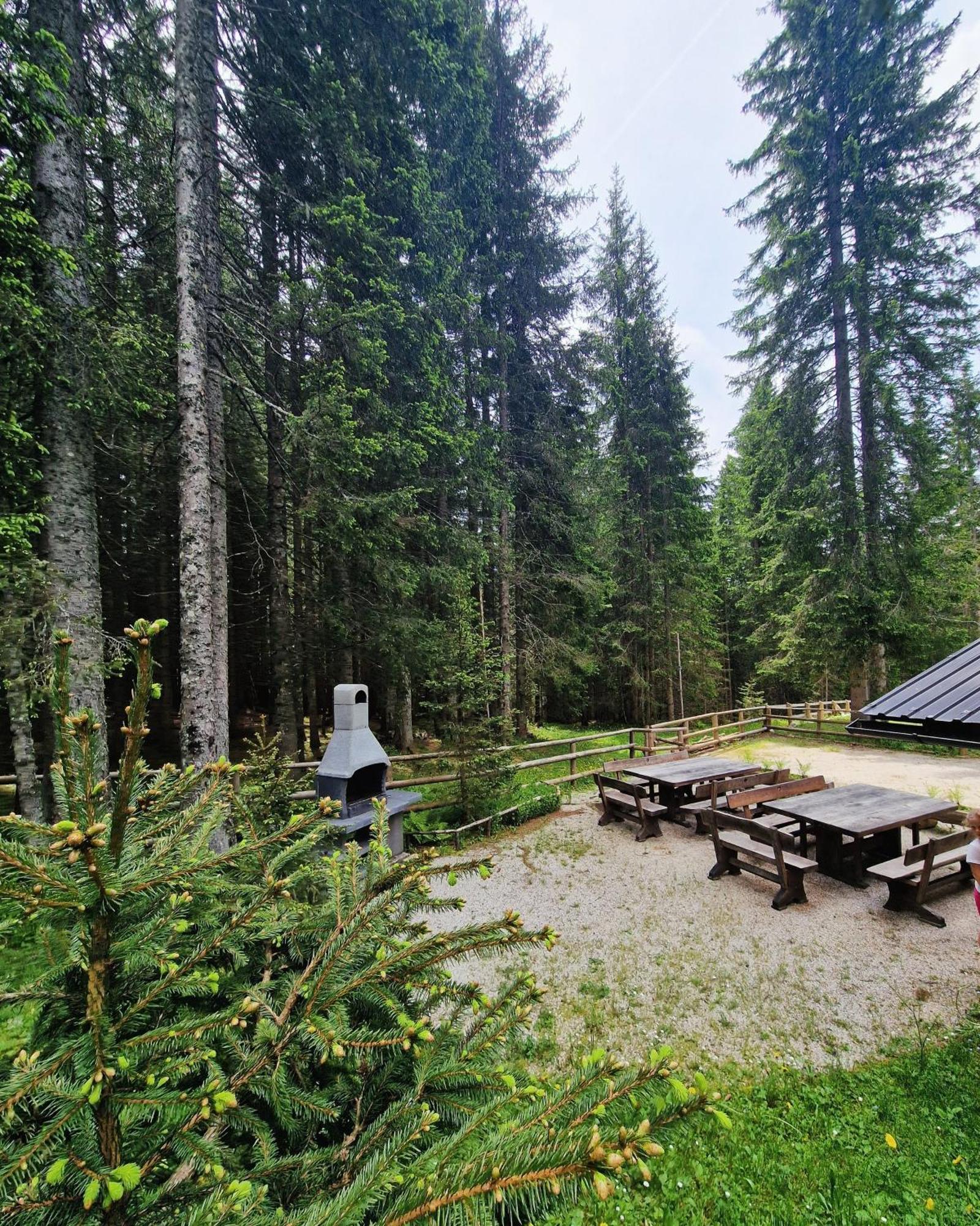 Forest Apartments Pokljuka Zgornje Gorje Eksteriør billede