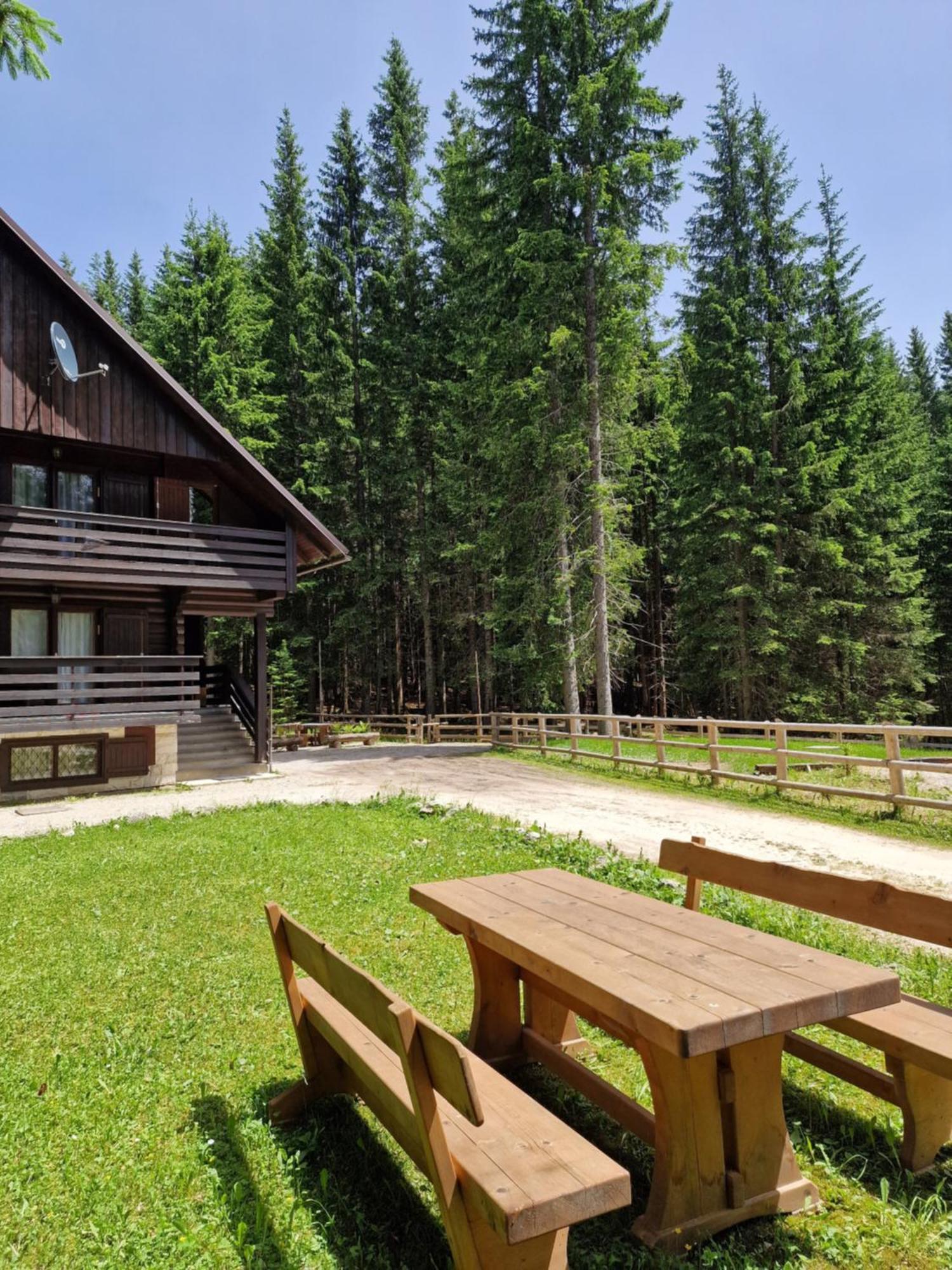 Forest Apartments Pokljuka Zgornje Gorje Eksteriør billede
