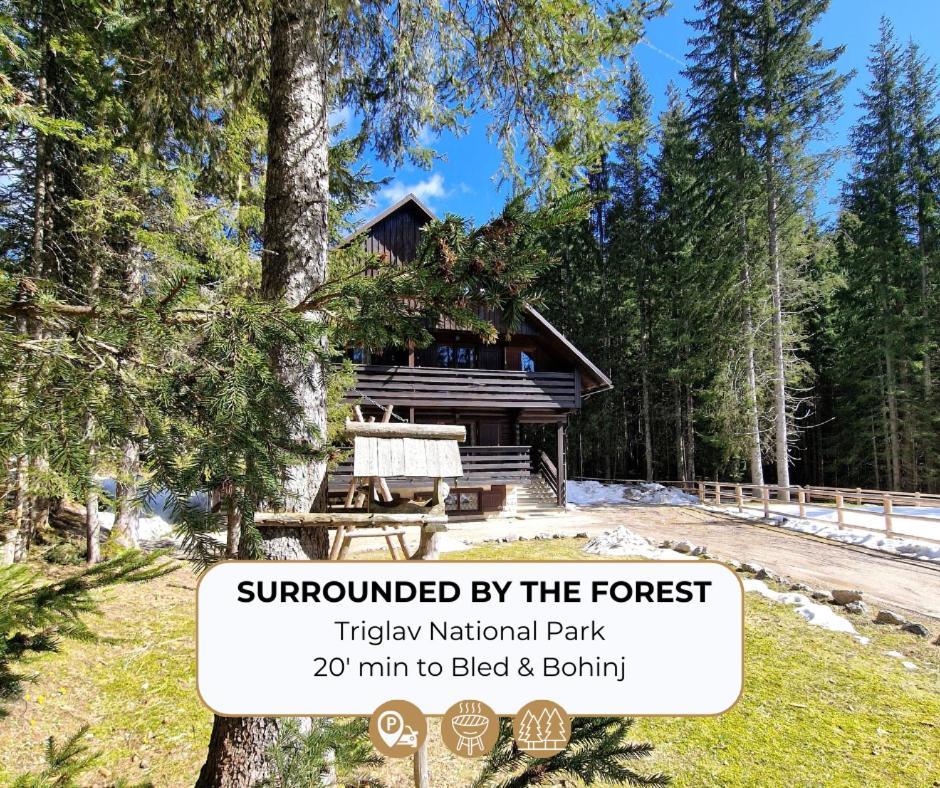 Forest Apartments Pokljuka Zgornje Gorje Eksteriør billede
