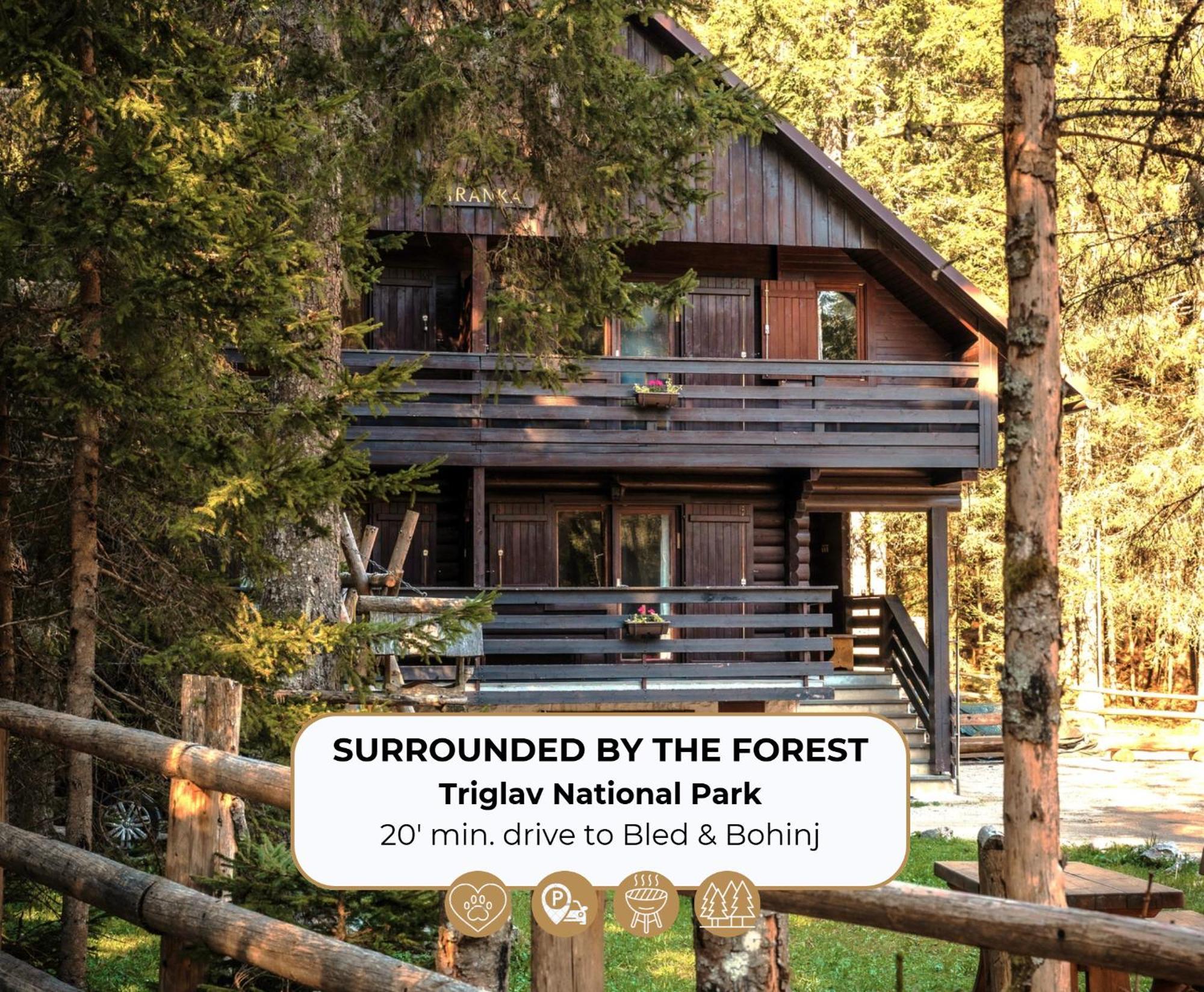 Forest Apartments Pokljuka Zgornje Gorje Eksteriør billede