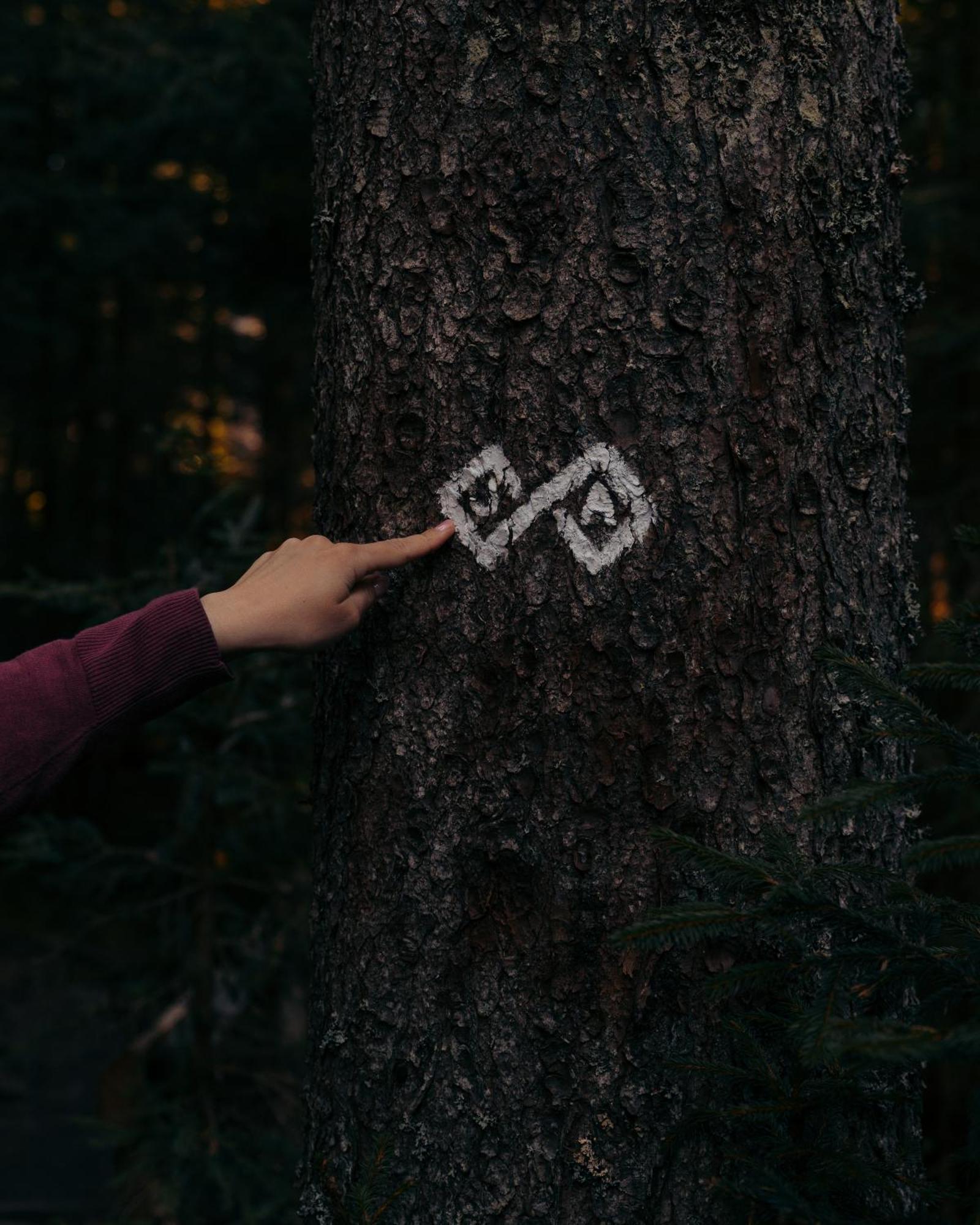Forest Apartments Pokljuka Zgornje Gorje Eksteriør billede