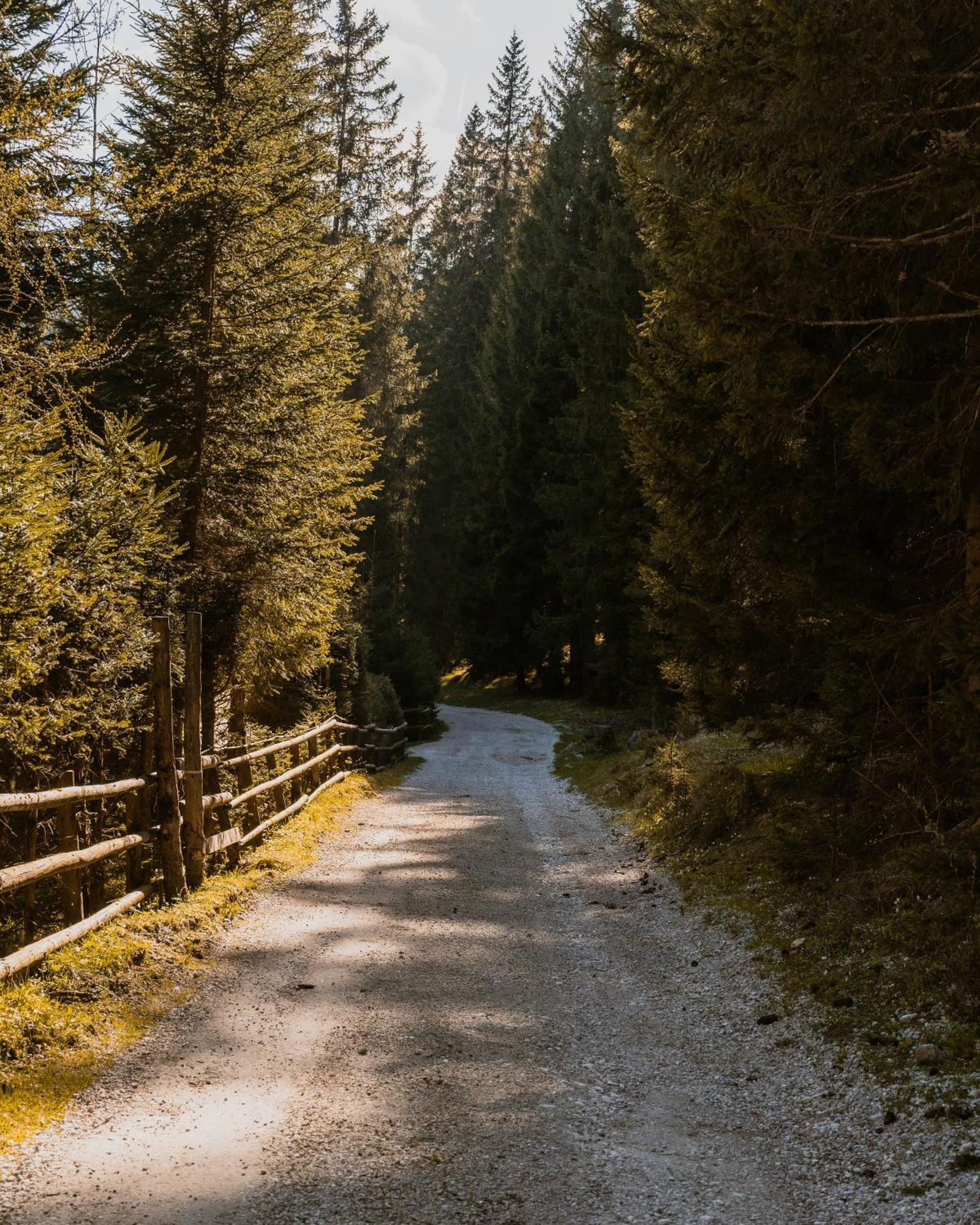 Forest Apartments Pokljuka Zgornje Gorje Eksteriør billede